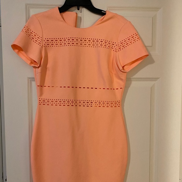 Elizabeth and James Ari dress - Picture 2 of 7